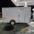 Enclosed Cargo Trailer. Interstate Kingman. Towing moving Storage 2 thumbnail