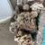 Fish tank skimmer rocks aquarium stuff 3 thumbnail