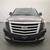 2016 Cadillac Escalade 4x4 4WD Luxury Collection  SUV 2 thumbnail