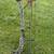 Mathews Bow 1 thumbnail
