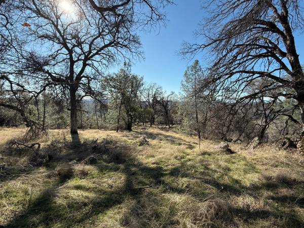 $85,000 JUST REDUCED!!   9.07 Private Acres with Hilltop Views (Grass Valley)63952105264386120