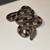 Baby boas, corns, and hognoses 18 thumbnail