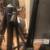 Bowflex 7 thumbnail