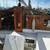 Catboat for sale 8 thumbnail