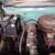 1959 Classic Buick Opel 1 thumbnail