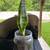 Snake plant 2 thumbnail