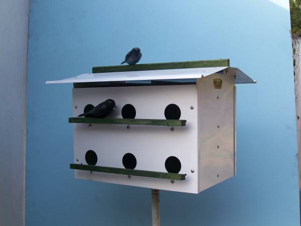 Bird House - Purple Martin 1