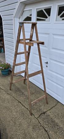 Ladder, 6 foot 1