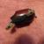 4 Excellent Condition Spin Casting Reels 7 thumbnail