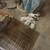 Kittens, adorable 13 thumbnail