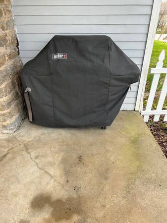 Weber Grill 1