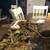 Het/Albino Checkered Garter Snake 3 thumbnail