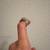 Neil Lane engagment ring 5 thumbnail