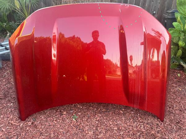 (59) 2024 Ford Bronco oem hood 1