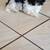 Maltese Shih tzu 6 thumbnail