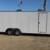8.5 x 24 (+ v-nose) Wells Cargo FastTrac Car/Toy Hauler - 7' IH, 10k 3 thumbnail
