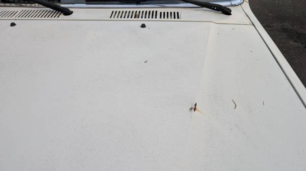 1986 4Runner DLX, 22re, automático - $7,200 (Renton)63623558701187123