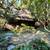 Forrest Setting - Updated - Hiking - Private 1 thumbnail