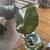 Banana tree 3 thumbnail