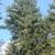 23 acre paradise for sale 16 thumbnail