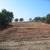 Land clearing, Tanks &Ponds, Driveways & Roads, Building Pads 14 thumbnail