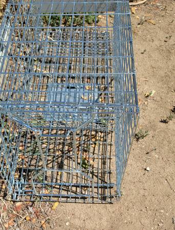 Small animal trap 1