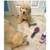 Certified Vet Assistant Offering Professional Pet Care 4 thumbnail