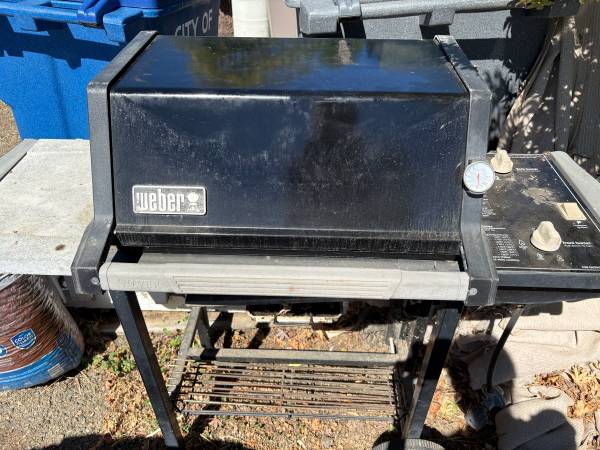Weber Gas Grill 1