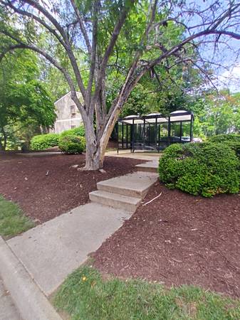 $921.00 / 1br - 672ft2 - Modern 1 Bed, 1 Bath Apartment in Lynchburg, VA - Available Oct 15, 2063851969964801124