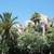 1bd1baIrvine Condo all yoursClOSEtoAIRPORTshowingTODAYsave$100 1 thumbnail