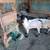 Serious Animal Lovers Only Please Friendly Buck Six Months Old (PENDING SALE 2 thumbnail