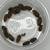 Dubia Roaches  Feeders reptile gecko 1 thumbnail