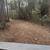 Forestry Mulching – Land Clearing 2 thumbnail