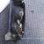 1990 PLYMOUTH VOYAGER RIGHT REAR LIGHT ASSEMBLY 3 thumbnail
