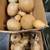 Gourds 4 thumbnail
