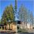 Tree Service – Trimming, Removal, Stump Grinding – Orange County 2 thumbnail