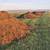 Beautiful Topsoil- landscaping, gardens, lawns 1 thumbnail