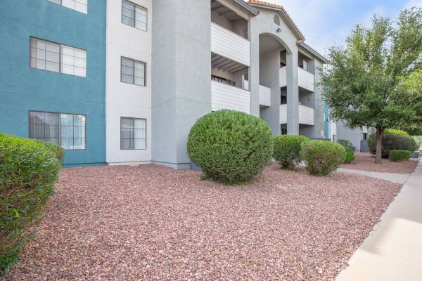 $1,089 / 1br - 587ft2 - 🌺 ¡ÚNETE A NOSOTROS EN MISSION TIERRA!!🌺 (Tucson)63674775581827124