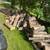 Hardwood Firewood 24-36” non split firewood 3 thumbnail