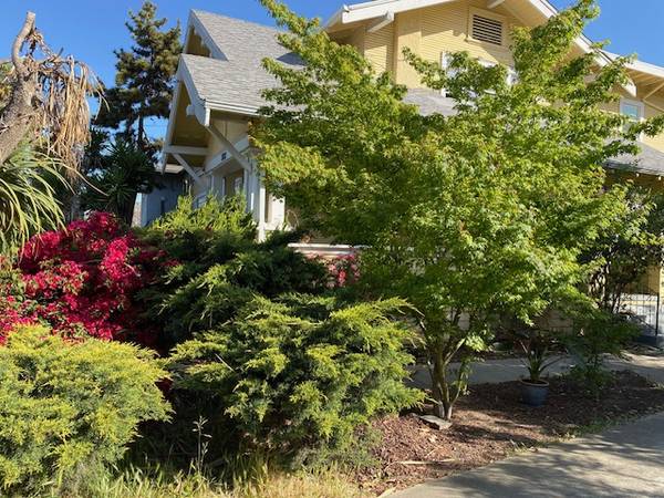 $2,150 / 1br - 495ft2 - Charming One-Bedroom for Rent – Private Entrance, Small Pet Welcome (san jose downtown)64049798911617121