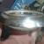Antique FRANK WHITING Sterling Silver and Glass Coasters 6 thumbnail