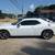 2019 Dodge Challenger - Financing Available! 4 thumbnail
