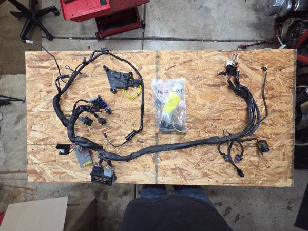 1998 HD screamin eagle XL1200S Sportster Sport OEM Wiring Harness 1