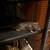 Pet Rats need rehomed 1 thumbnail