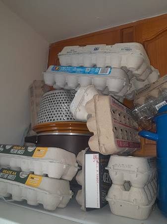 Free Egg Cartons 1