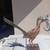 Roadrunner with Lizard Metal Art 1 thumbnail