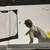 Brand New Baseball Training Net 5x5 Foot Youth Adult Hitting Pitching 4 thumbnail