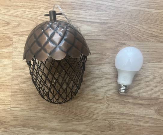 Decorative Acorn - $15 (Wellesley)63439068306819121