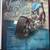 2011 Suicidal Cycles Vaya Con Dios 18 thumbnail