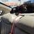 puppy 2 thumbnail